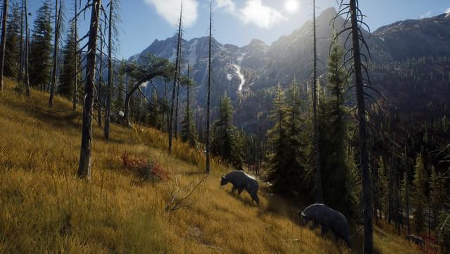The Hunter Call of The Wild - Review - Game Simulations