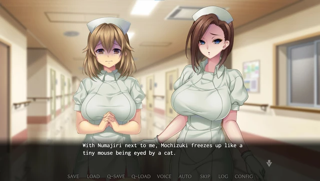 #5. Nope Nope Nope Nurses (GOG) De: Shiravune