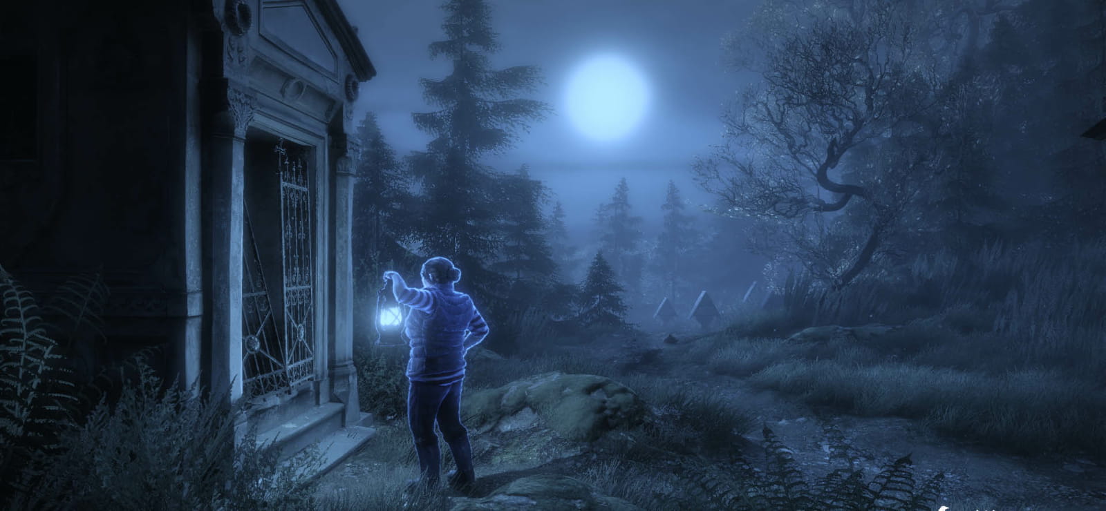 The Vanishing Of Ethan Carter Special Edition