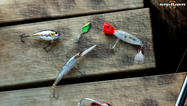 #8. Ultimate Fishing Simulator - Sakura® Lures DLC (GOG) 由: Ultimate Games S.A.