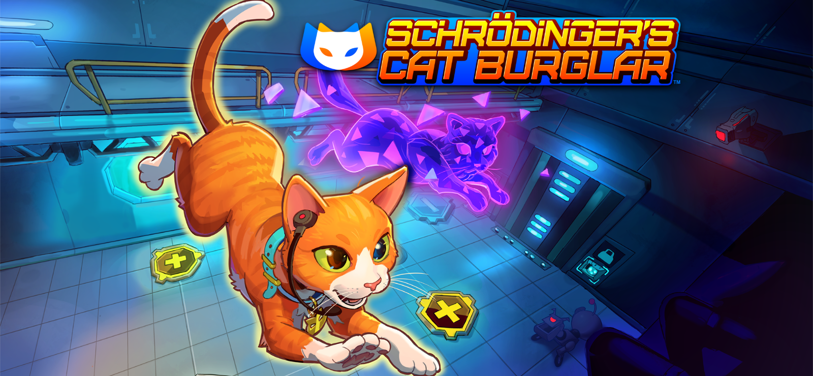Schrodinger's Cat Burglar
