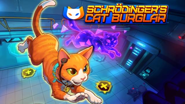 Schrodinger's Cat Burglar