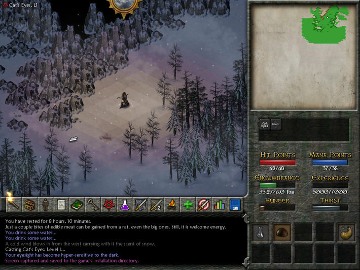 Eschalon: Book II screenshot 1