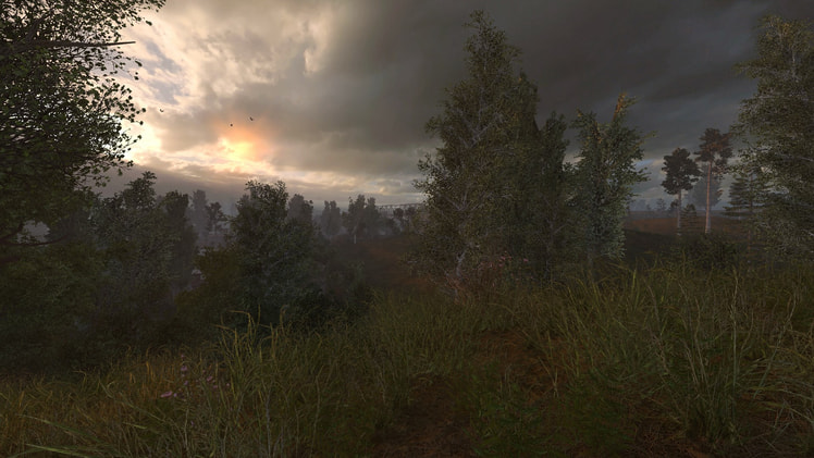 S.T.A.L.K.E.R. Anomaly — 12