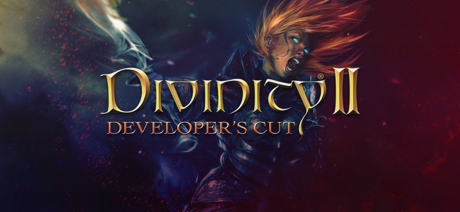 Divinity 2: Developer's Cut banner