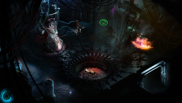 #9. CAYNE: DELUXE CONTENT (GOG) 来自: The Brotherhood