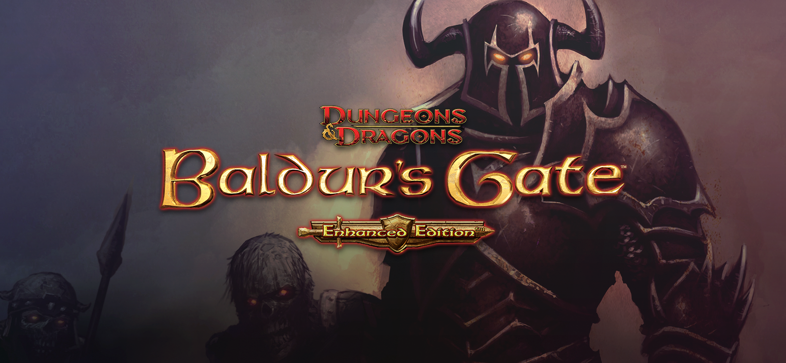 Baldur's Gate: Enhanced Edition banner