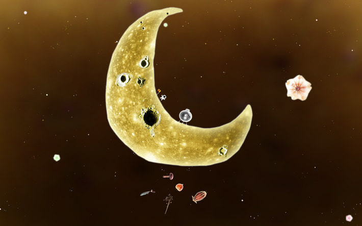 Botanicula screenshot 4