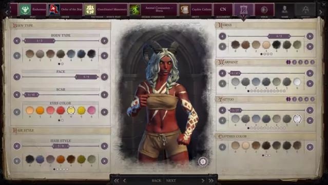 #7. Pathfinder: Wrath of the Righteous - Paint of War (GOG) De: META Publishing