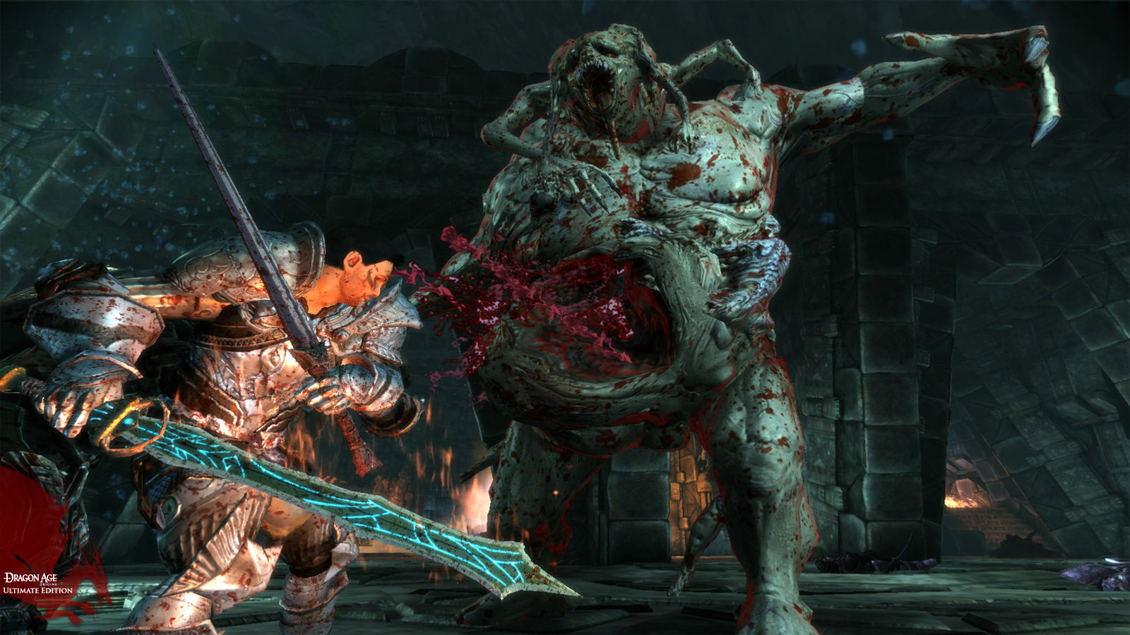 Dragon Age™: Origins - Ultimate Edition — official screenshot 2