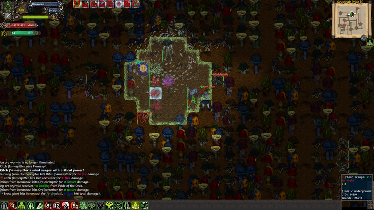 Tales of Maj'Eyal screenshot 3