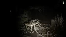 Screenshot 17