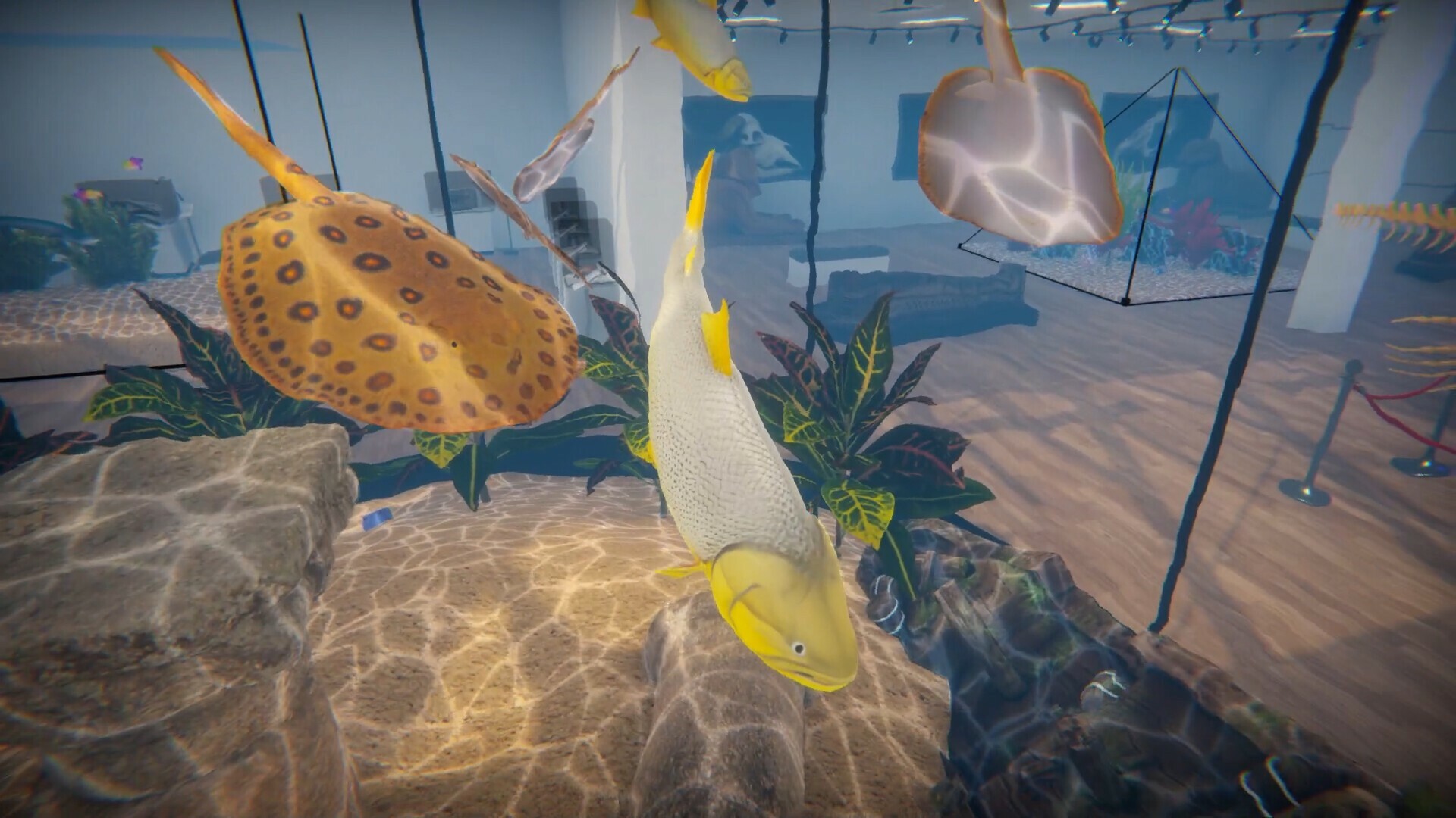 screenshot5