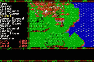 Questron II screenshot 1