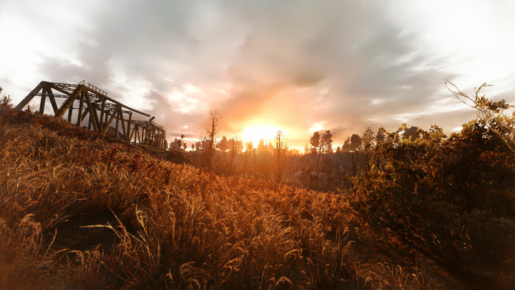 S.T.A.L.K.E.R. G.A.M.M.A. — 11