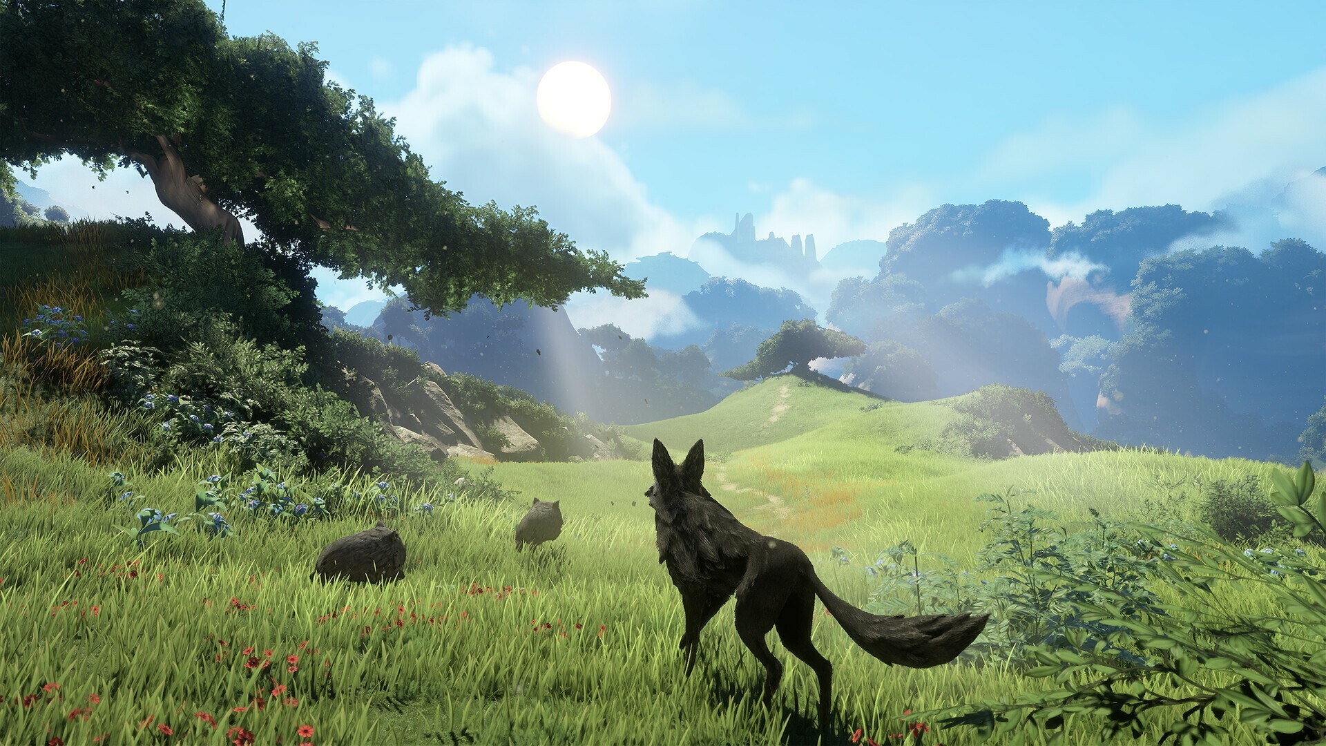 screenshot5