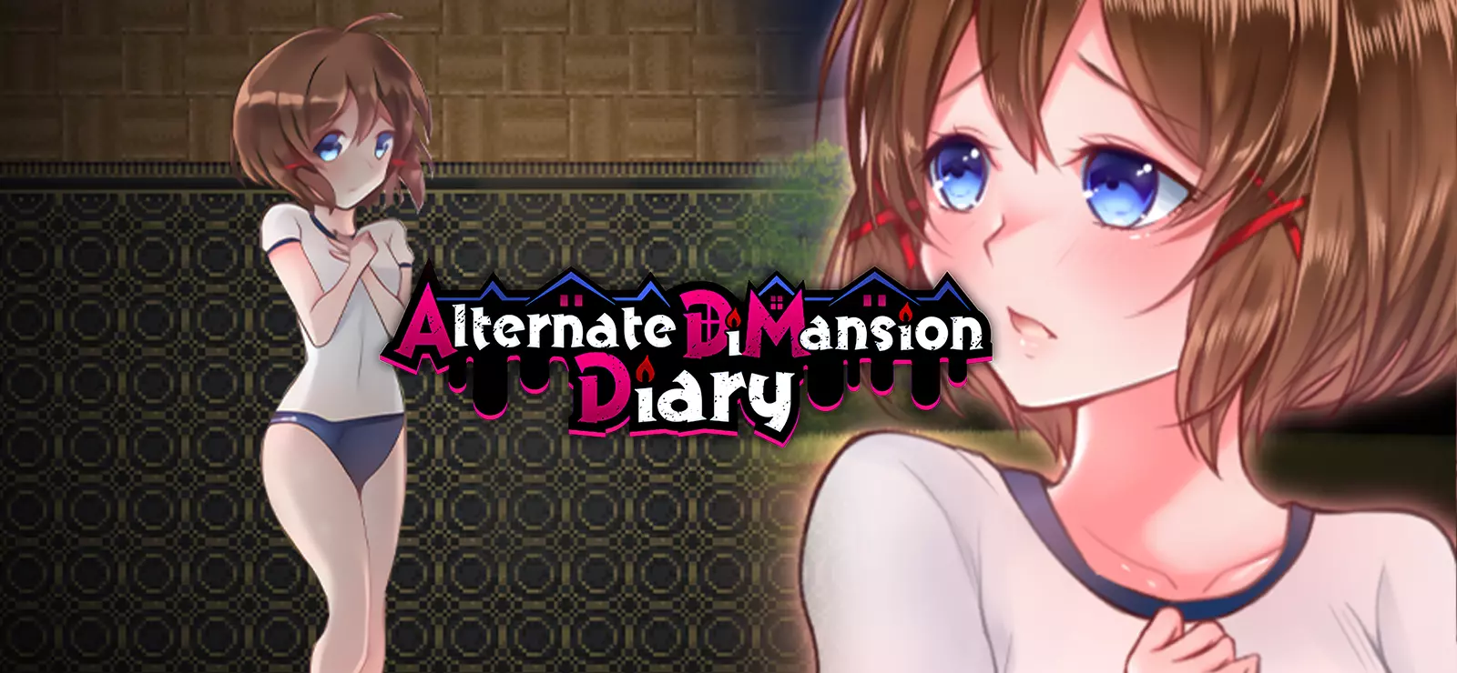 Alternate dimansion diary gog games download free gog pc games