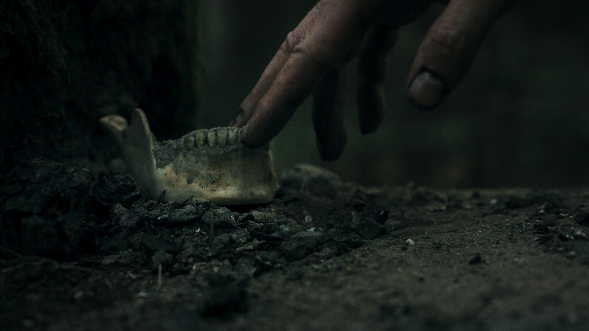screenshot8