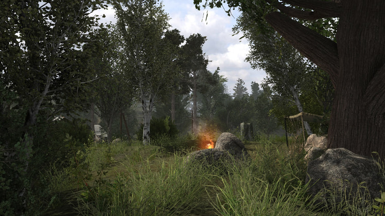 S.T.A.L.K.E.R. Anomaly — 11