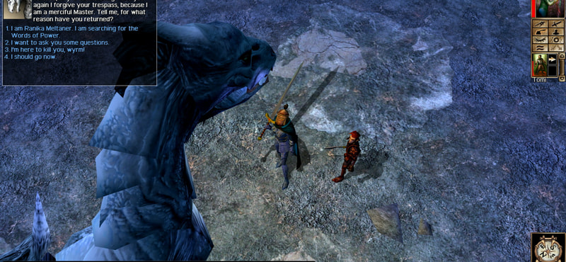 Neverwinter Nights: Enhanced Edition - Polish Extras — image 3