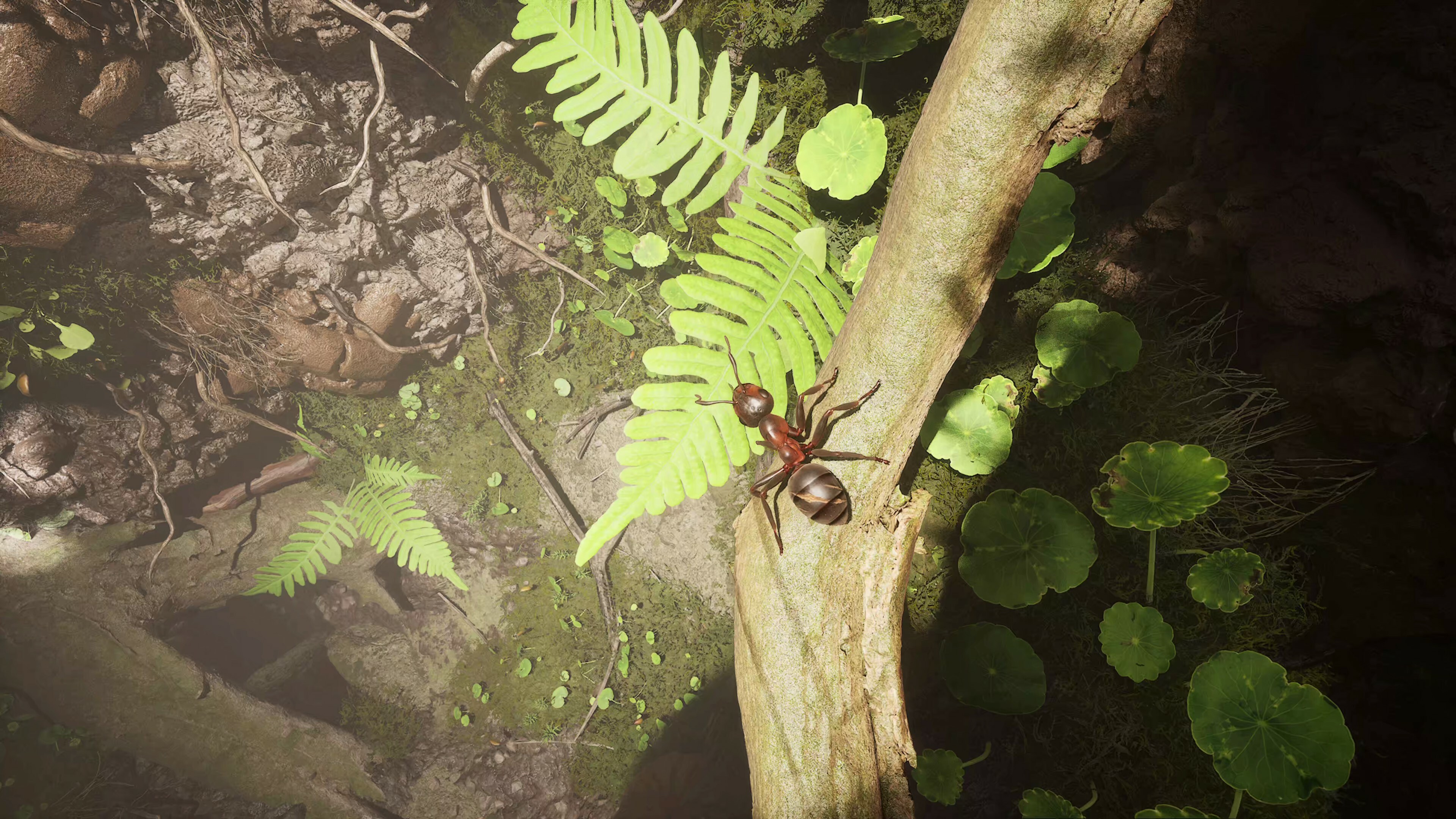 screenshot8