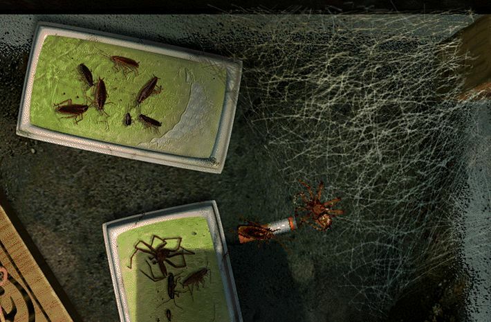 screenshot3