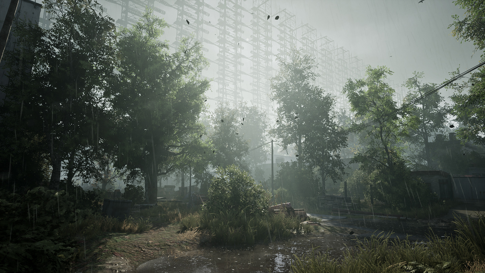 Full Size Image