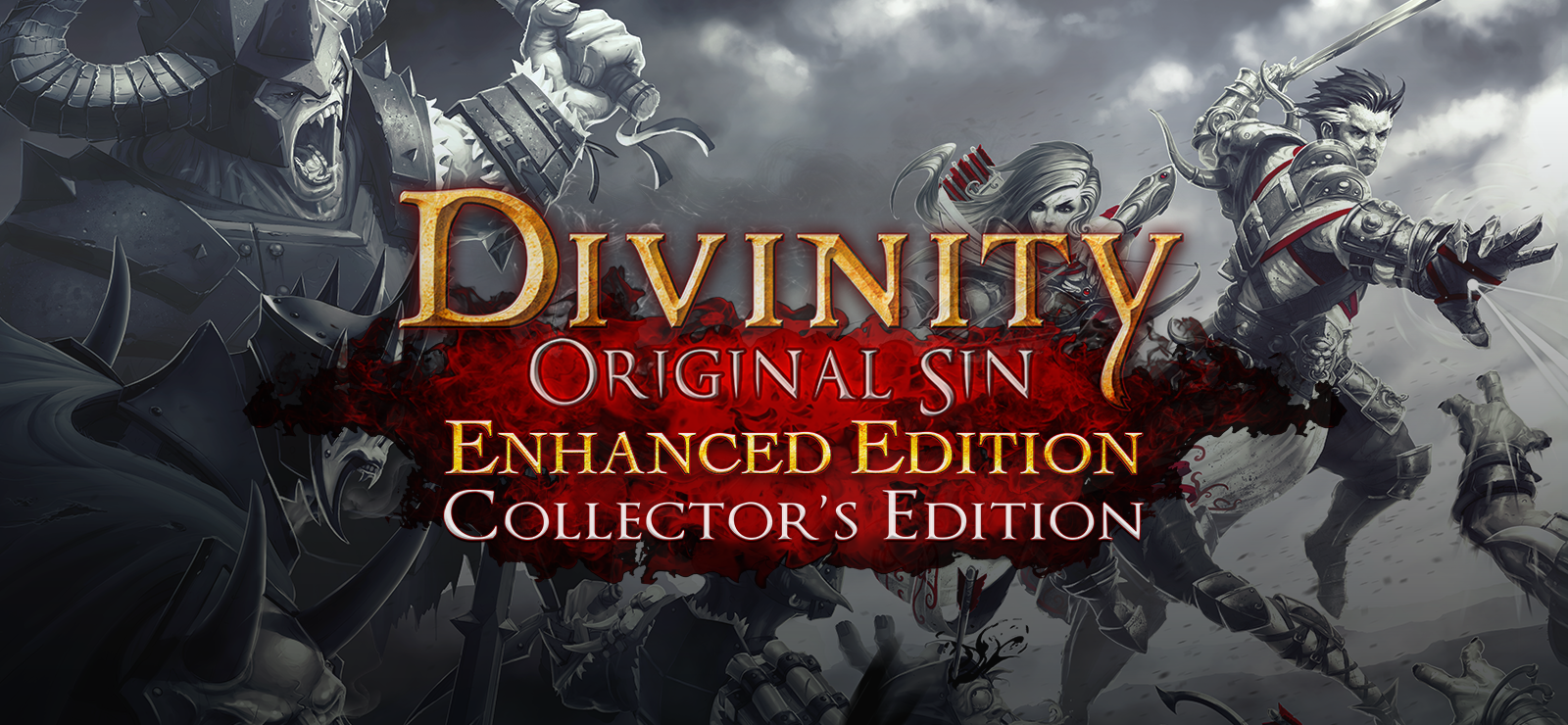Divinity: Original Sin - Enhanced Edition Collector's Edition