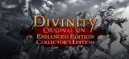 Jaquette de Divinity: Original Sin - Enhanced Edition Collectors Edition