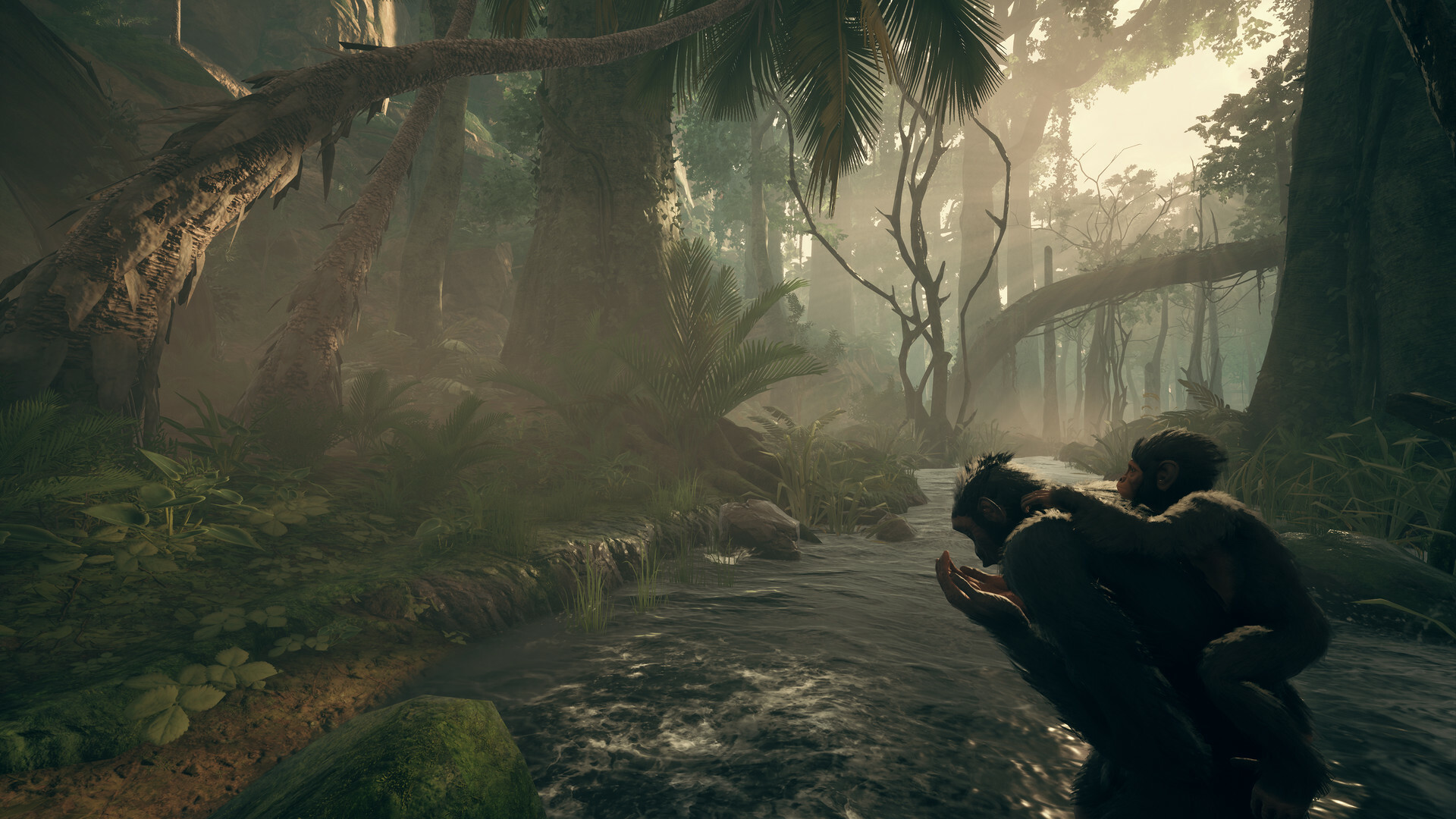 screenshot4