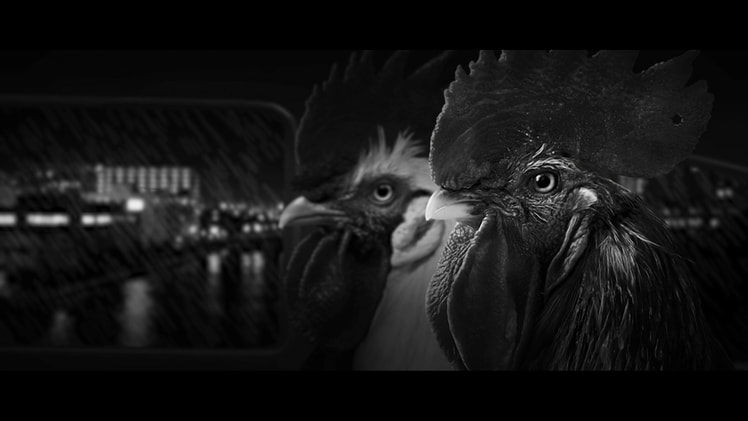 Chicken Police — 14