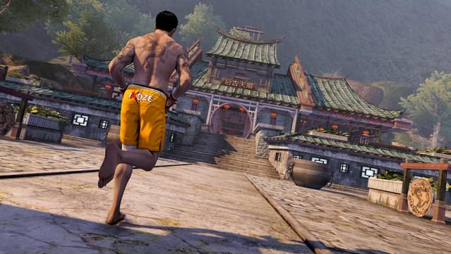 Sleeping Dogs Definitive Edition (PS4) : Video Games 