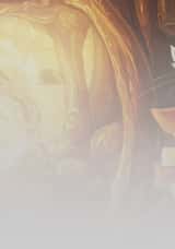 The Night of the Rabbit