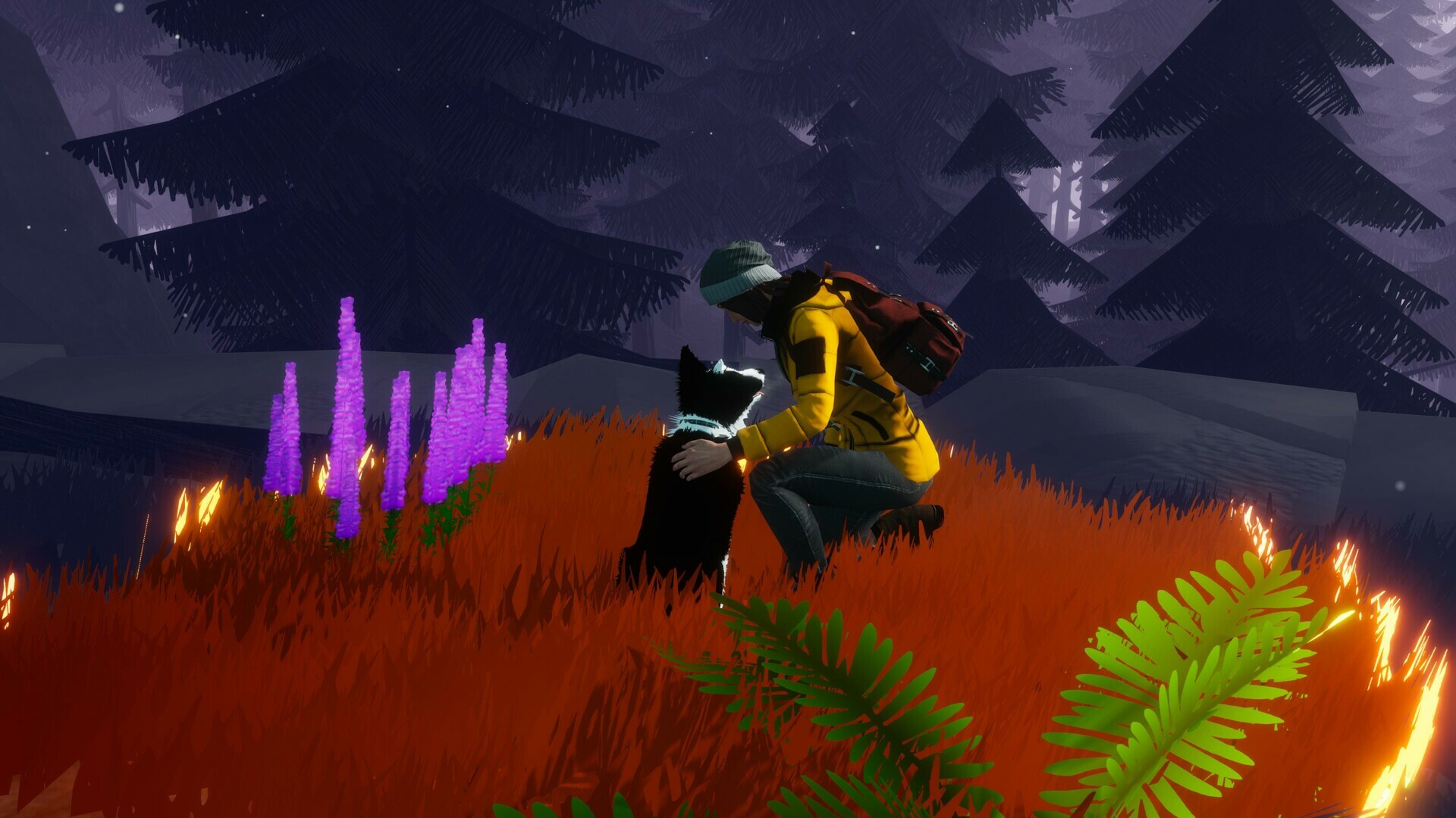 screenshot5