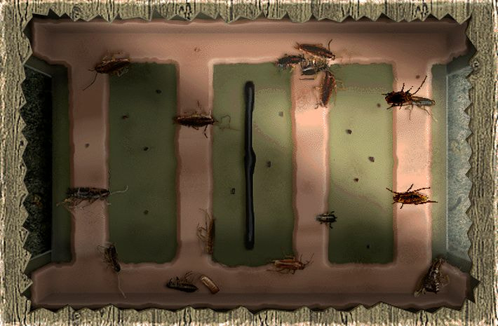 Bad Mojo Redux  screenshot 2