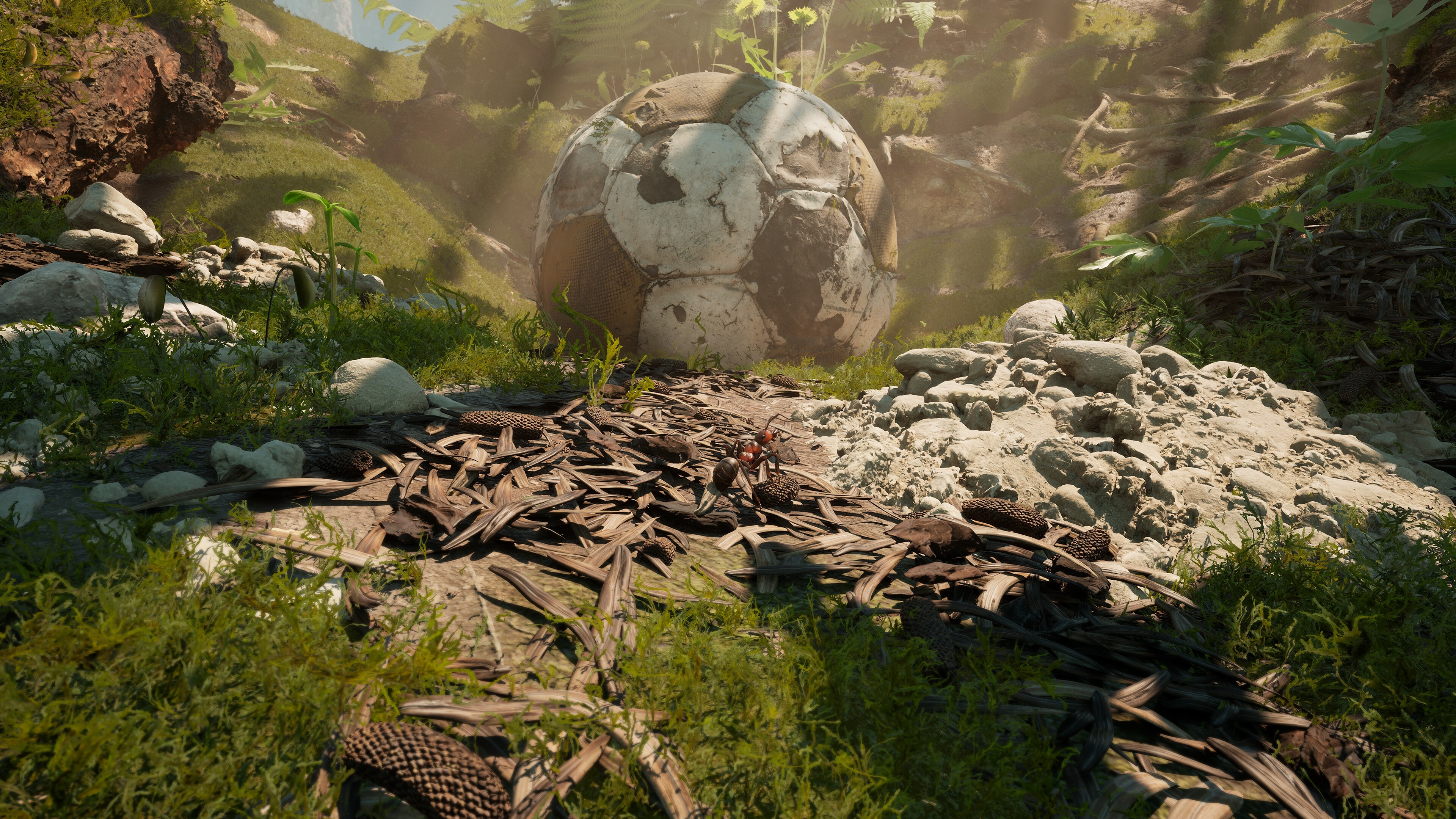 screenshot4