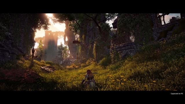 Horizon: Zero Dawn Gameplay & Release Date