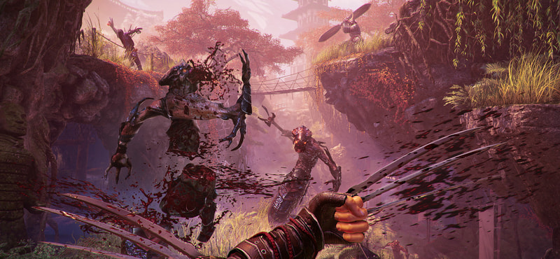 Shadow Warrior 2 Deluxe Upgrade - image 2