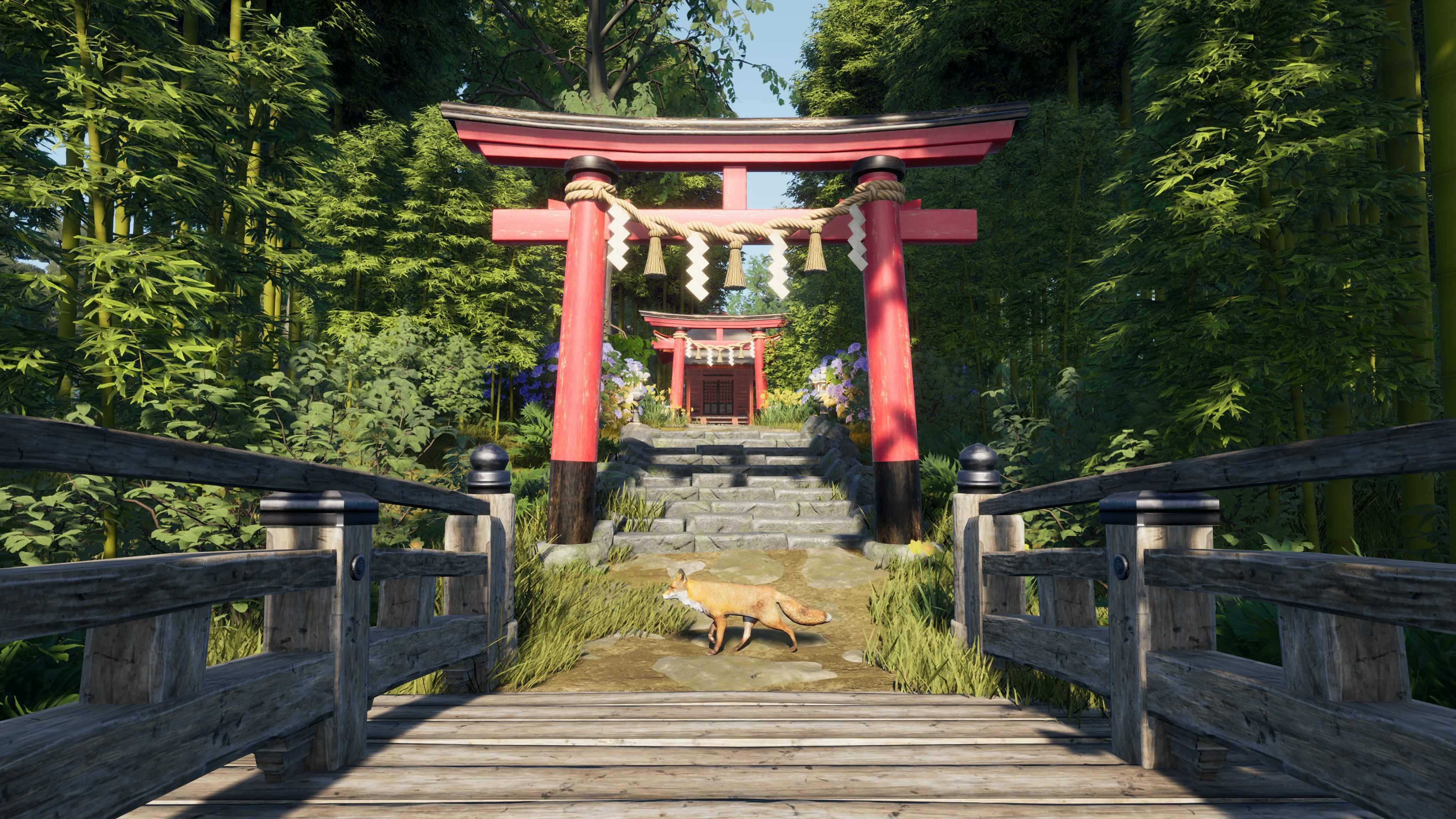 Full Size Image