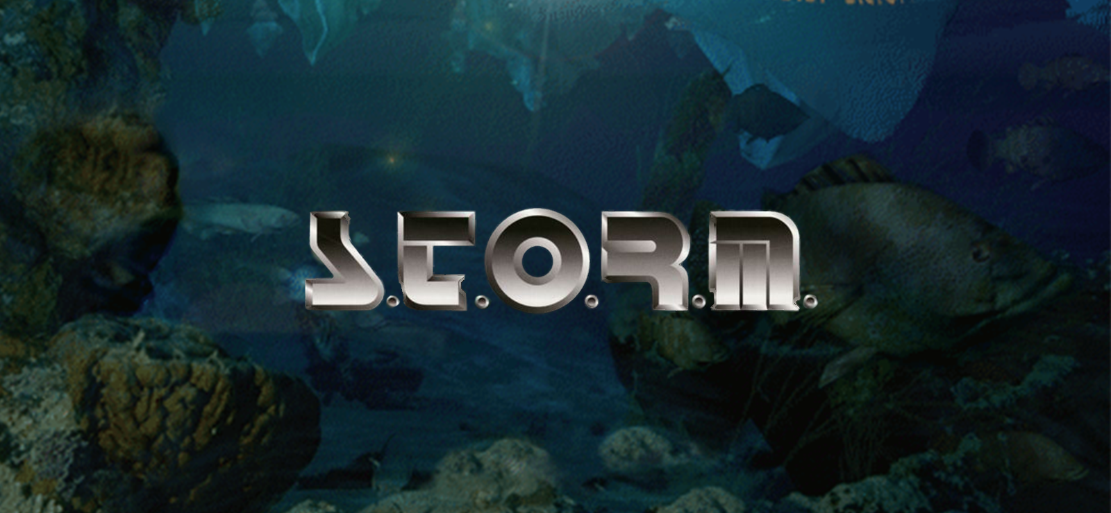 S.T.O.R.M.