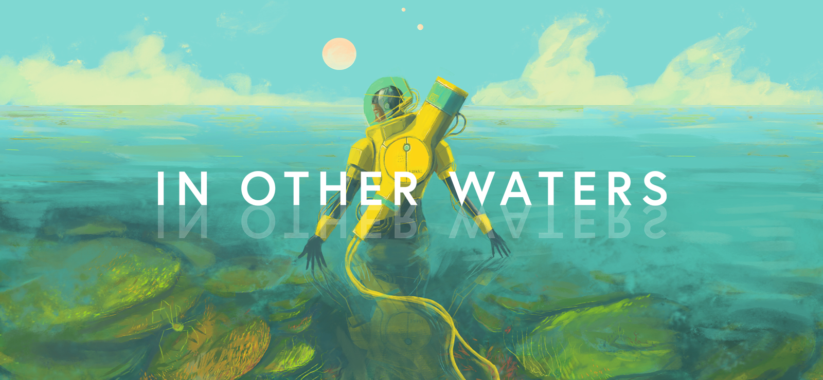 In Other Waters: A Study Of Gliese 667Cc
