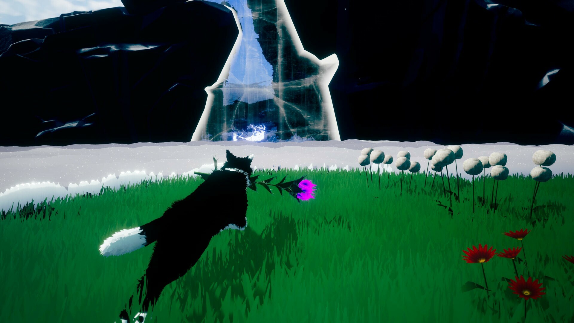 screenshot9