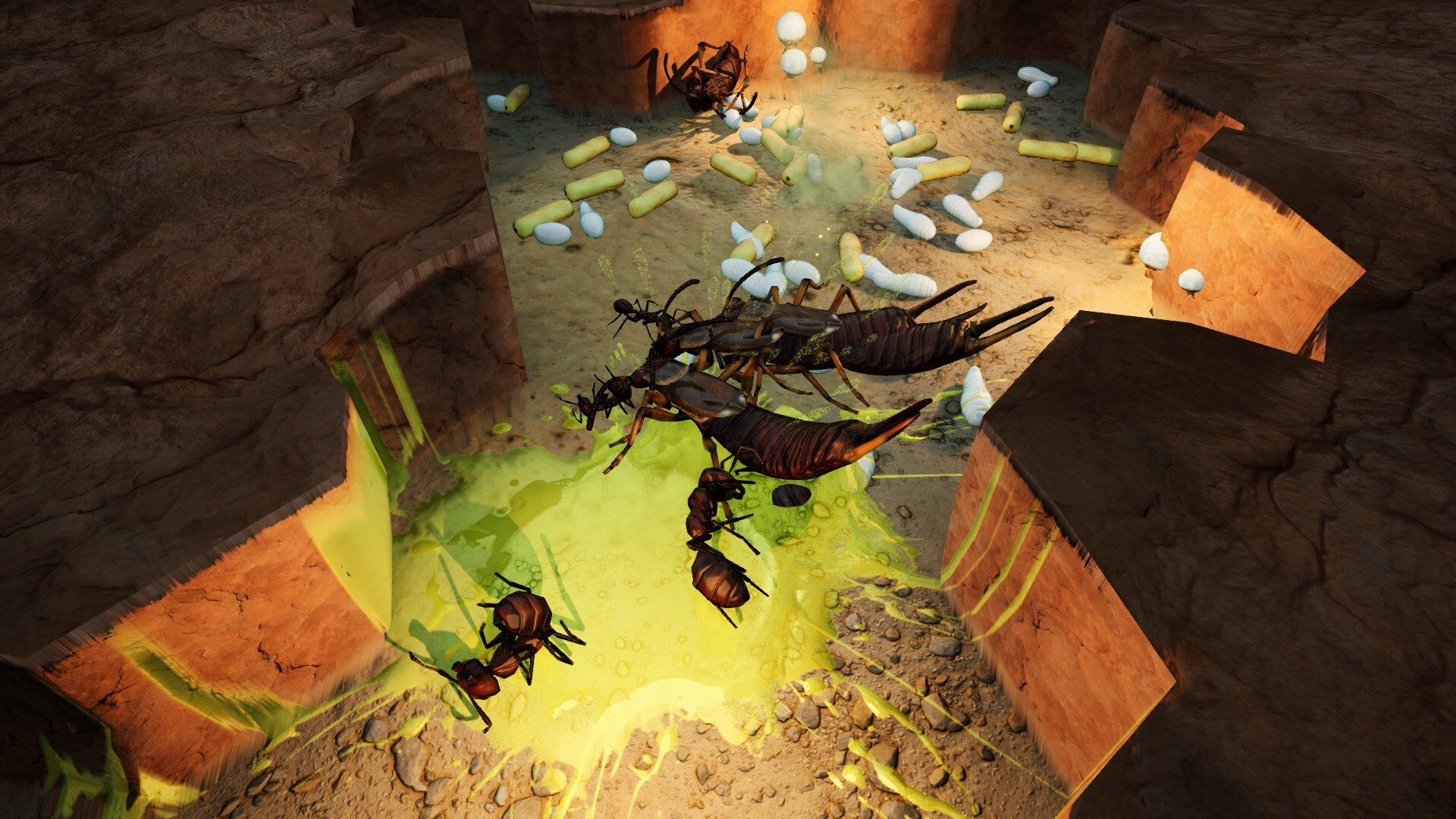 screenshot5