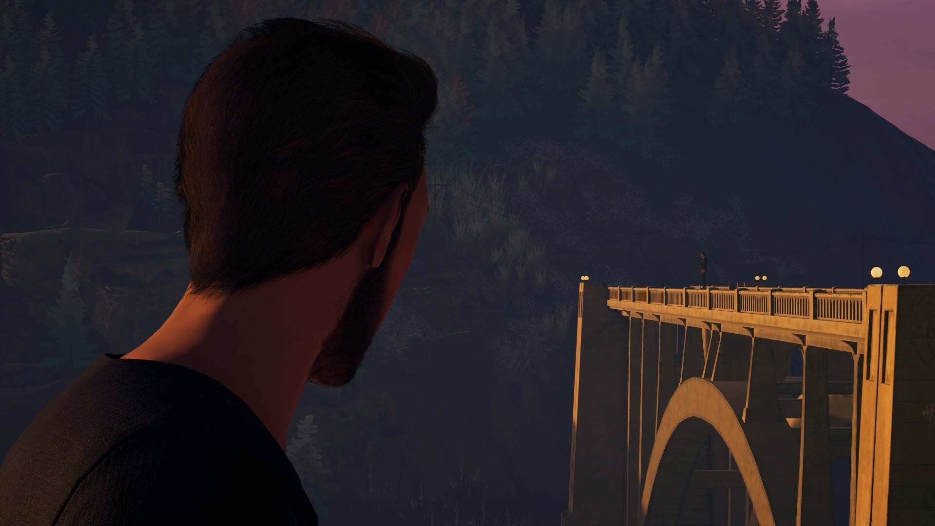 Full Size Image
