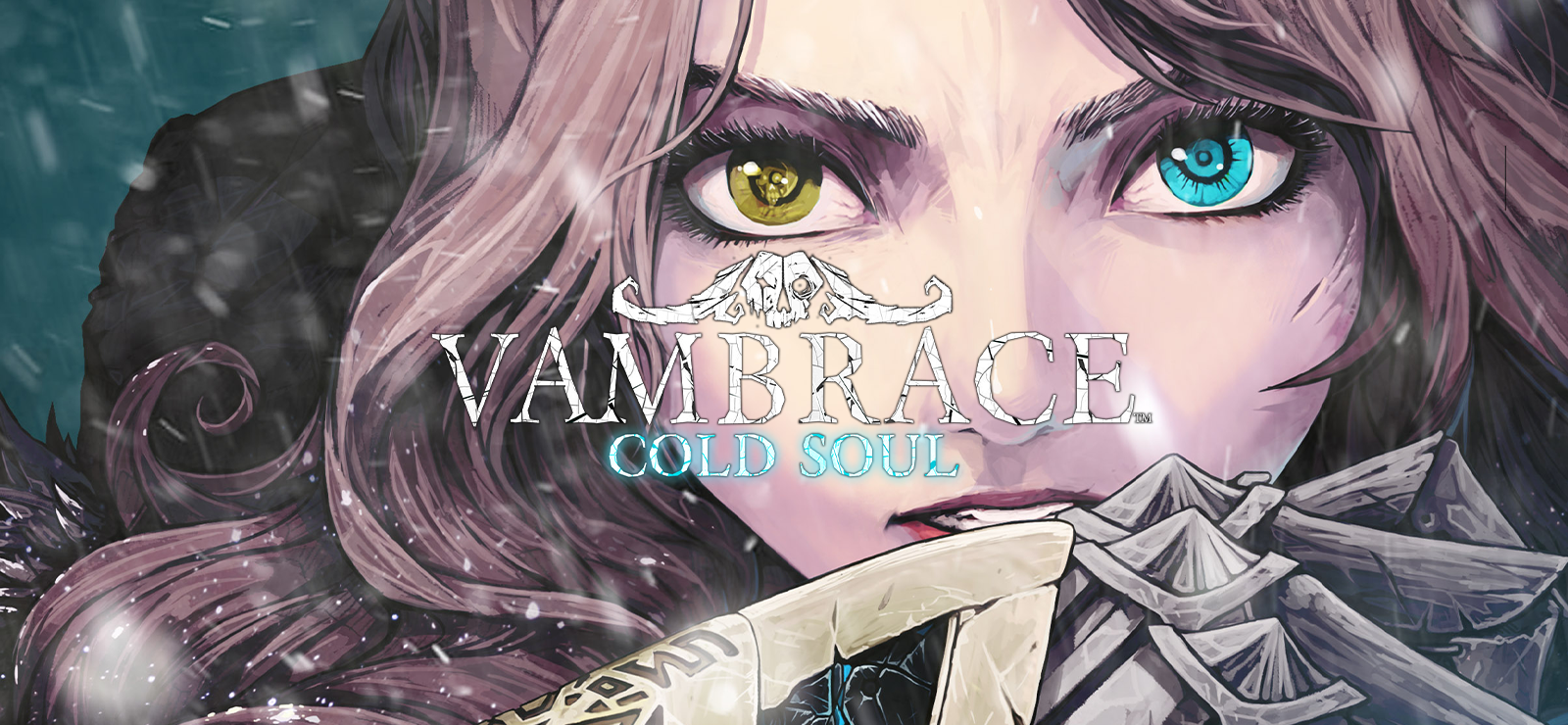 Vambrace: Cold Soul banner