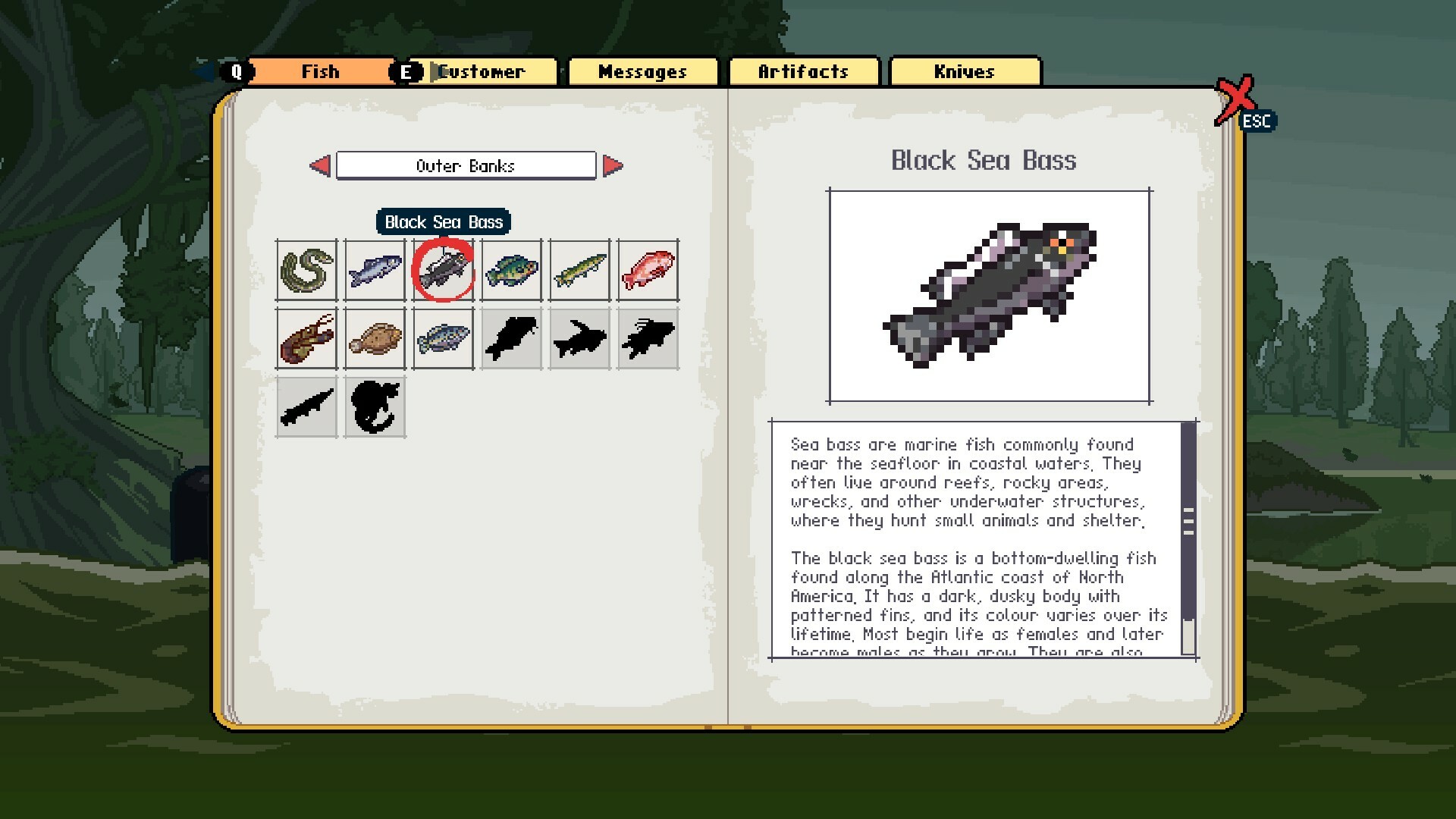 screenshot6