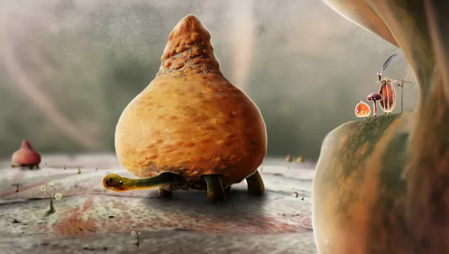 #5. Botanicula Soundtrack + Art Book (GOG) 由: Amanita Design
