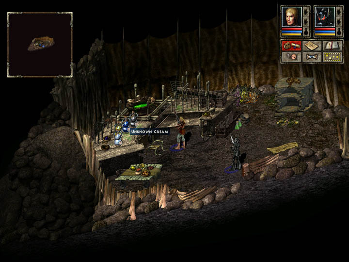 Beyond Divinity screenshot 4