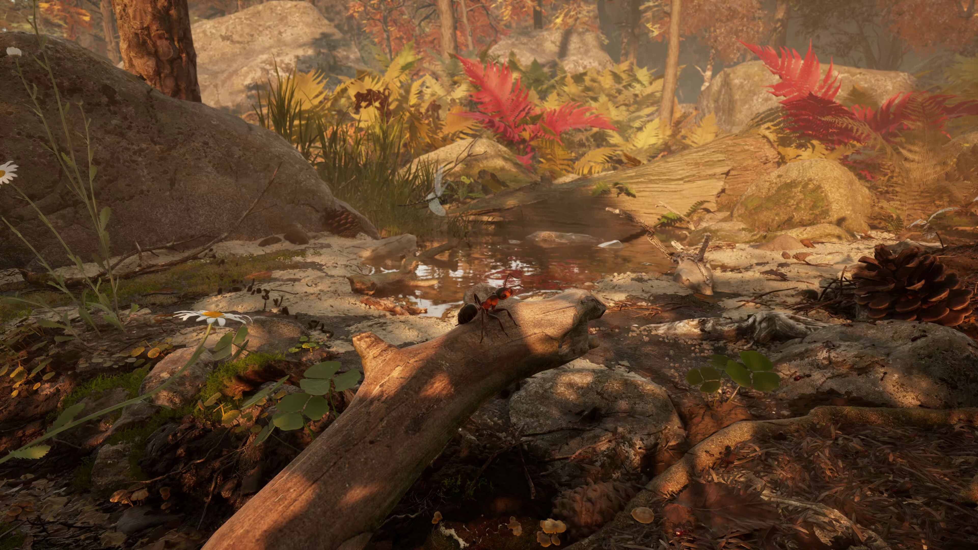 screenshot7