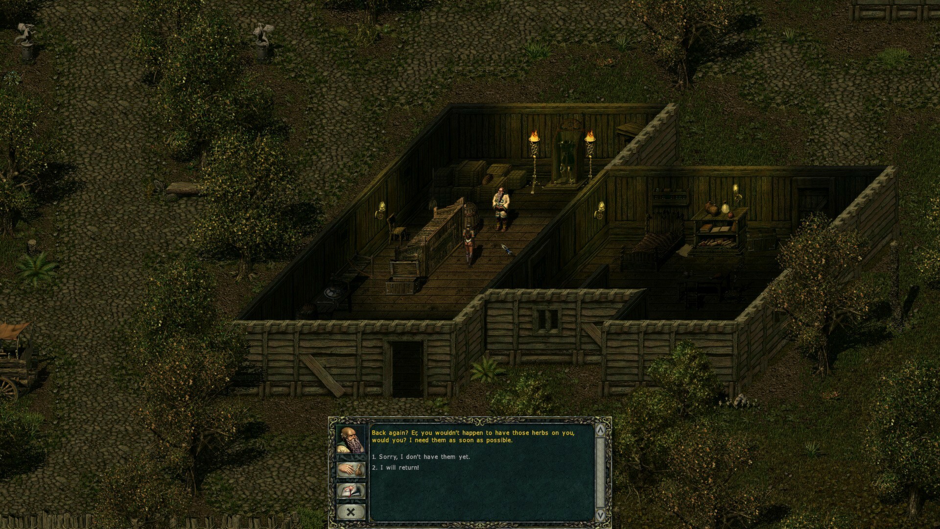 Divine Divinity Captura 4
